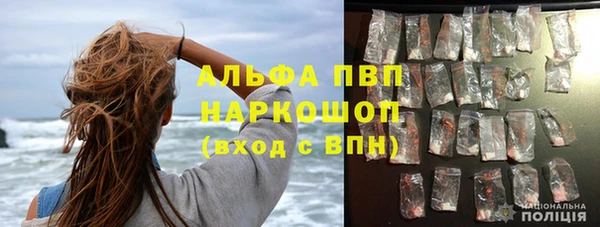 бошки Ладушкин
