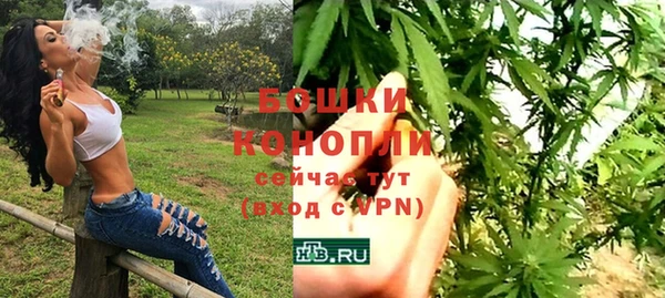 бошки Ладушкин