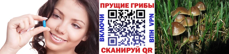 Купить закладки  Могоча  Псилоцибиновые грибы Magic Shrooms 